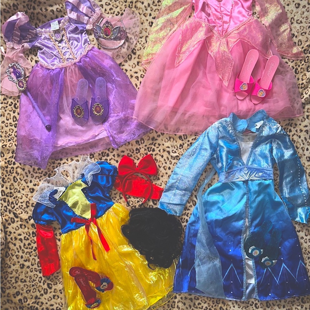 Disney Princess dress up bundle (3/4toddler)